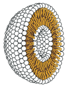 A New Challenge in Organic Reactivity
