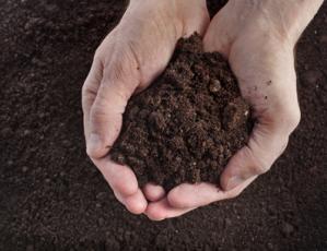 Relationship between iron and trace metal fractionation in soils