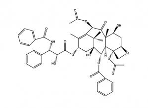 Endophytes  the chemical synthesizers inside plants - A Free Review