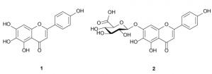 Hydrolysis of scutellarin and related glycosides to scutellarein and the corresponding aglycones