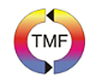 Thermo-mechanical fatigue - a special issue