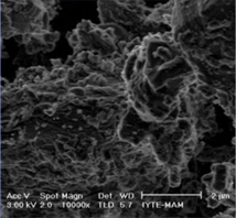 Investigation Into The Kinetics Of The Esterification Of Acetic Acid With 1-Butanol In The Presence Of Alumina-Supported TPA