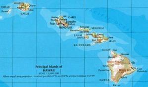 New species of seabird discovered in Hawaiian Islands 
