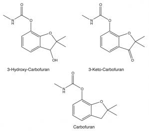 Cleavage of carbofuran and carbofuranderivatives in micellar aggregates