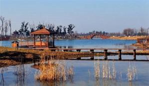 Heavy metals in sediments of Taihu Lake, China