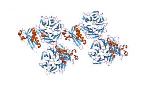 The role of ESR spectroscopy in advancing catalytic science: some recent developments