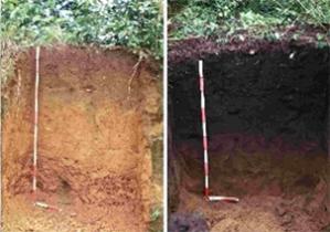 Biochar, soils and carbon capture