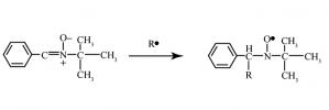 Unpaired electrons as probes of catalytic systems
