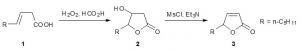 Efficient Odorant Synthesis