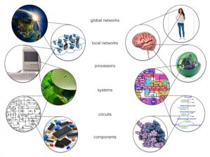 Designer life using synthetic biology