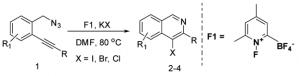 A novel method for the synthesis of haloisoquinolines involving an electrophile-exchange process