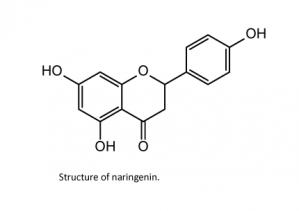 Practical synthesis of naringenin