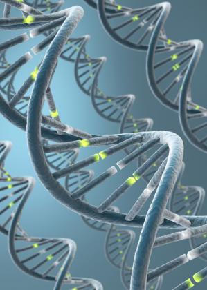 Mechanism of DNA cleavage catalysed by the system comprising an unsaturated tetraaza macrocycle and La(III) and Ce(III) ions