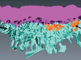 Microstructural analysis of steam oxidation of IN617 for use in ultra-supercritical steam plants