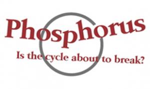 Peak phosphorus - peak food? The need to close the phosphorus cycle