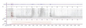 Bird call database nests online