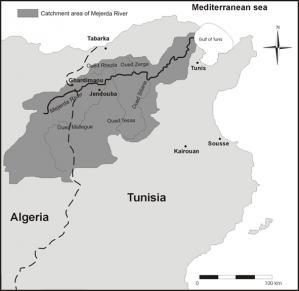Trace elements in different marine sediment fractions of the Gulf of Tunis (Central Mediterranean Sea)
 