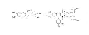 Total synthesis of Cannabisin B