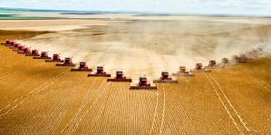 The Global Oil Supply: Implications for Biodiversity?