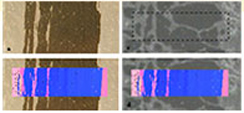 Oxidation And Spallation Of FeCrAl Alloys And Thermal Barrier Coatings
