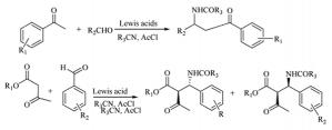 Free Review article - Synthesis of amido carbonyl compounds through the DakinWest reaction using Lewis acid catalysts
